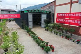 习水县大河沟村：小盆景栽出“美丽经济”图片