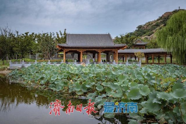 一年四季 泉在济南丨济南药山公园：生态之美与健身之乐的绝佳融合