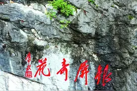 巢湖千年奇花含苞静候天下游客图片