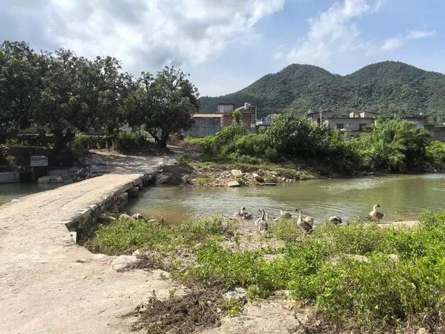 翔安北部惊现亲子游圣地！溪上帐篷正在流行！