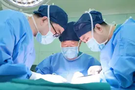 “狼心狗肺”不再是骂人，异种器官移植已经成为救命的医学现实图片