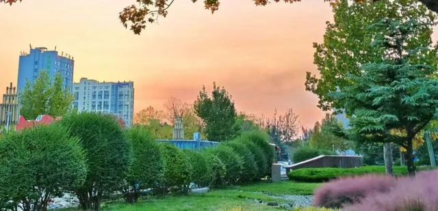 坊子区7处“落叶缓扫”超出片，快来打卡~