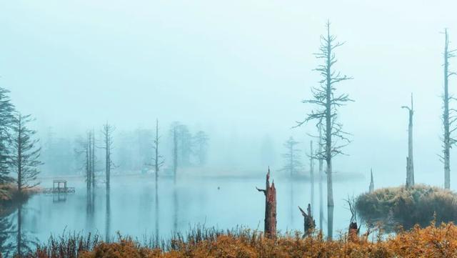 别等天晴了！雨天的秋日瓦屋，藏着你没见过的朦胧浪漫