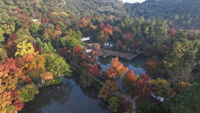 苏州的秋天，给你点“颜色”看看！