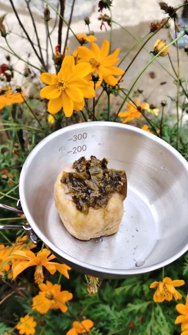 旅行的意义(终）