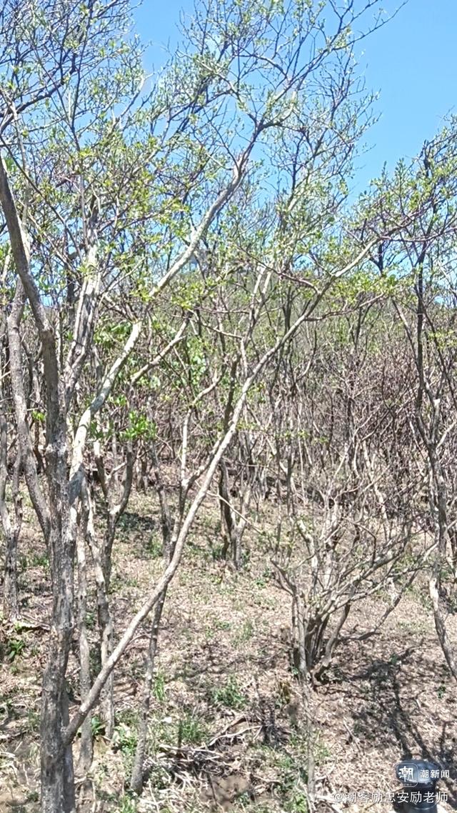 写点生活｜再次探寻陀头山：忆父辈的坚守与奉献