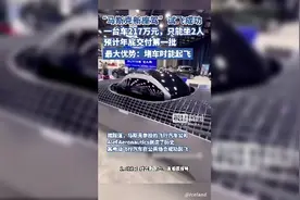 “马斯克新座驾”试飞成功！一台车217万元，只能坐2人，最大优势：堵车时能起飞图片