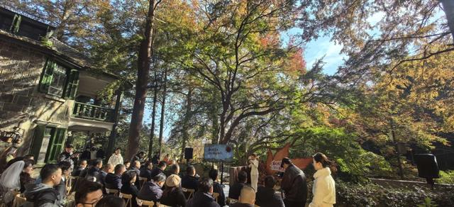 “枫情莫干，醉美深秋” 莫干山以红枫为媒邀客共赴秋日盛宴