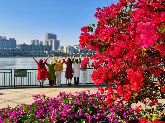 解锁冬日浪漫！来岩前星湖畔，一起走“花路”吧！