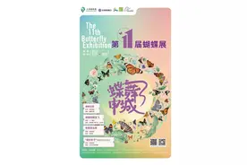 上海动物园第十一届蝴蝶展盛大开幕！都有哪些看点图片