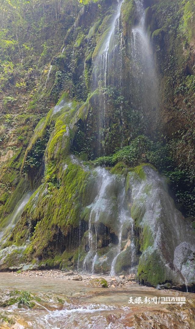 跳进19℃的夏天！贵州这座峡谷靠“悬崖跳水”火出圈