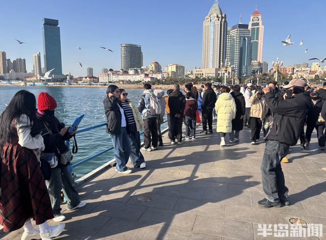 人鸥共舞 和谐画卷