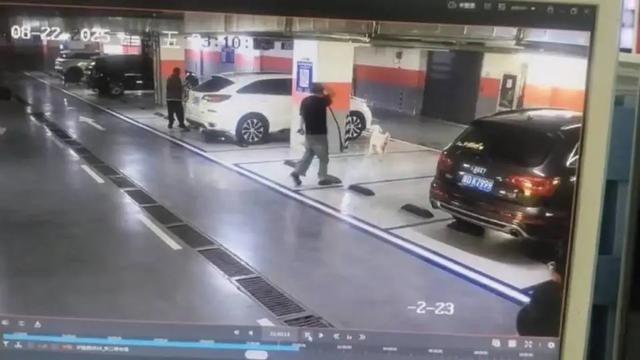 小区停车场2只未拴绳大狗叫着冲向6个月孕妇，当事人：狗主人没有一句道歉，已报警