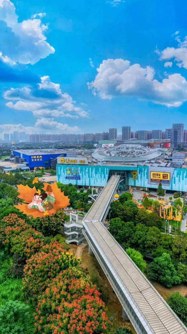 硚口的秋天，这些风景你注意到了吗？