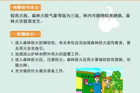 注意！惠州发布森林火险黄色预警图片