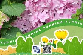 花卉外资企业昆明行，他们都说了啥？图片