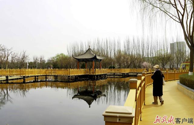 组图丨凉州植物园：春色满园关不住