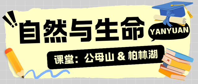 趣玩盐源 | 抓住暑假的尾巴！迎接新学期前的清凉抚慰