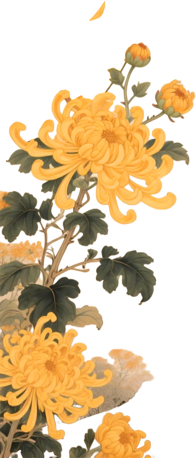 重阳登高栖霞山！玩心不“老”很嗨皮~