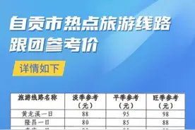 自贡发布热点旅游线路跟团参考价图片
