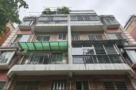 17岁高中生被坠落树根砸中身亡，一审判被告过失致人死亡罪，被害人家属不服图片