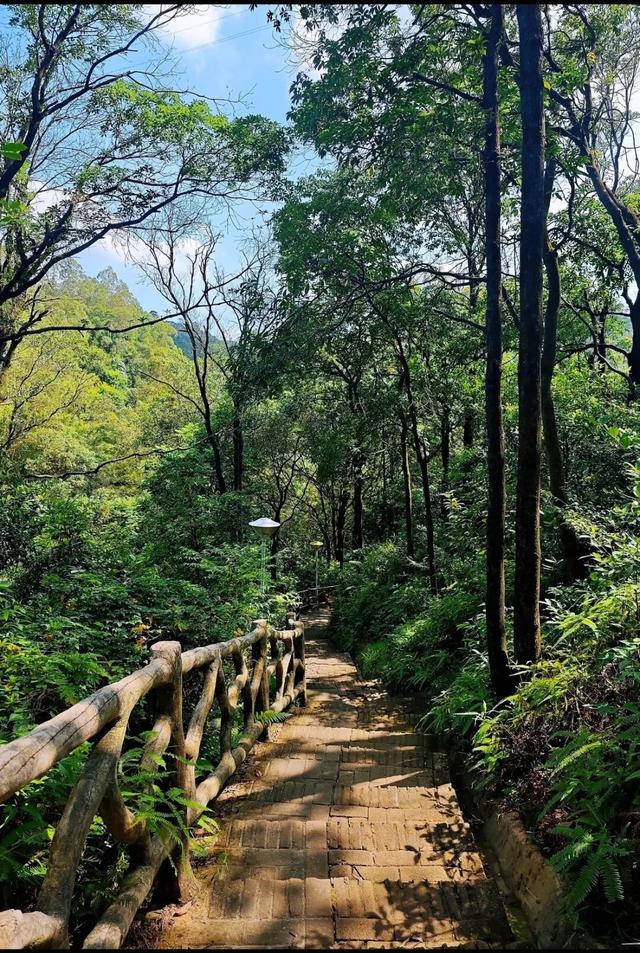 跟着赛事游鹤山！动起来！用运动方式打开鹤山～