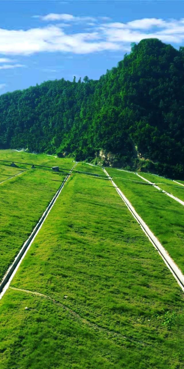 豫见两山 绿色答卷丨生态之旅——打卡“中原肺叶”栾川县