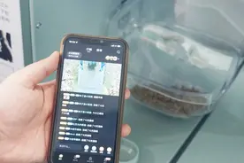 科技赋能爱心猫屋，“街猫”破解流浪猫管理难题图片