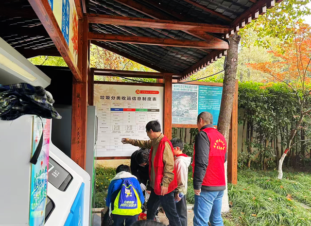 “党建红”点亮“枫”景丨栖霞山 “红枫护卫队” 上线！