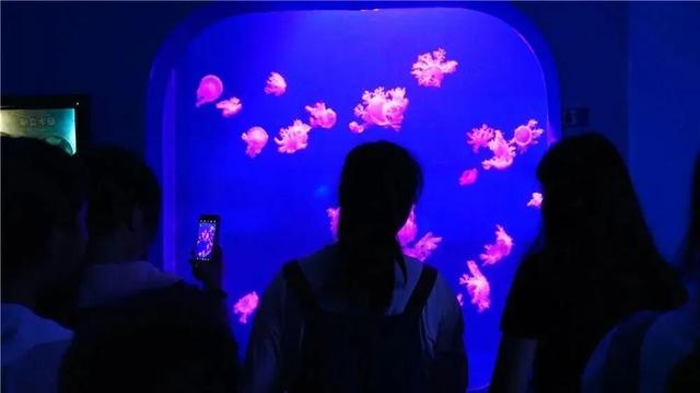 开学季福利来袭，用一次畅快淋漓的旅行打开你的新学期！