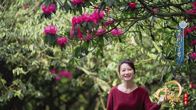 骄傲！咱毕节又上央视了