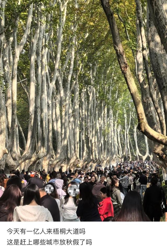 啥情况？“今天的南京，感觉有一亿人”