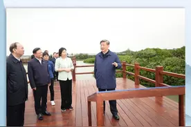 巩固发展新时代生态文明建设成果图片