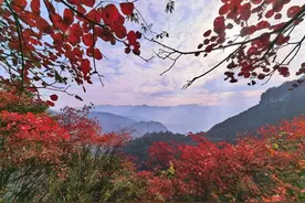 共绘巫山红叶盛景 ｜ 华为Mate70红枫原色影像见证自然之美图片