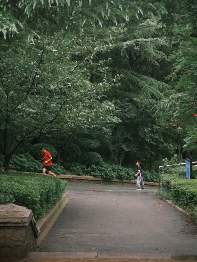 烟雨市北~不必赴江南，雨落此间即诗意