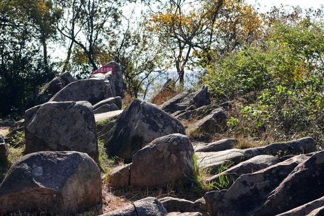 在雨山邂逅暗香苑，寻见一方藏在城市角落的桃花源