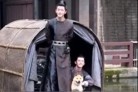 非常有演戏天赋的狗！中华田园犬“大黄”参演十多部影视作品走红图片