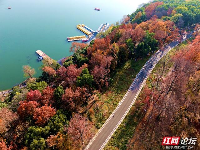 长沙人的周末：去烈士公园赴一场秋冬之约