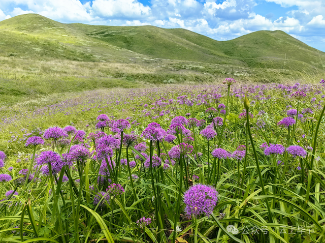 走！跟着央视热播剧，打卡毕节