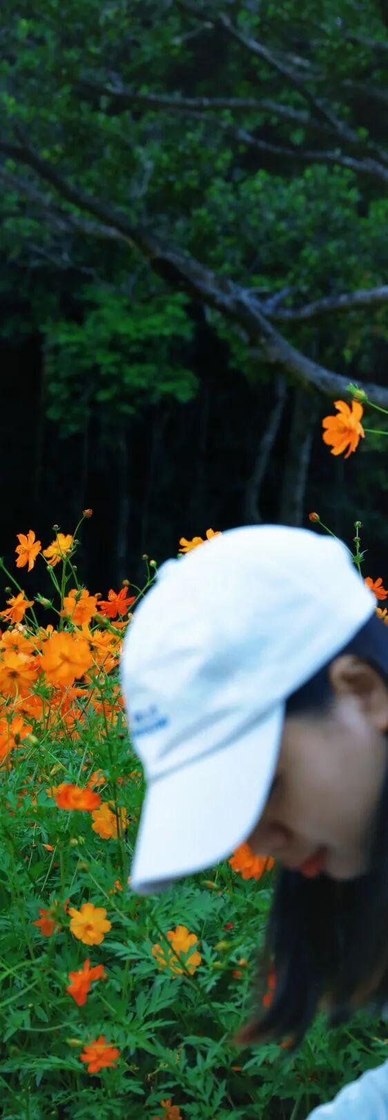 行摄 | 美爆了！秋日花海，限时上映