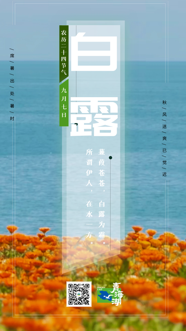 白露至，南方仍暑热！青海湖二郎剑已悄然入秋，20℃清凉等你错峰畅游！