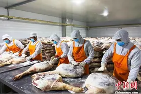 宣威火腿：饮和食德图片