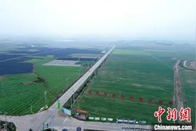 “百年菜乡”广西贺州新鲜“菜篮子”香飘粤港澳图片
