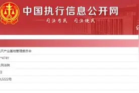 西安航天产业基地管委会成被执行人 执行标的超1000万元图片