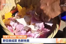 为啥外边的野花不要采？看了《咬春指南》就明白了图片