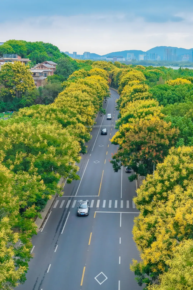 阿锡，赏秋正当时，你我皆风景！