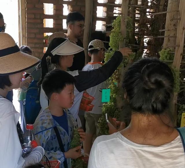 新疆是个好地方丨秋日浪漫已至 新疆迎来最美季节