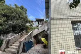 四川乐山：每天早上四五点就被鸽子吵醒，城管立案调查｜云投诉图片