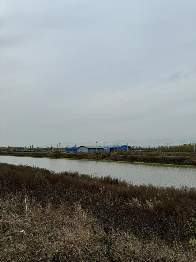 动力电池回收乱象：暴力拆解，再组装“三无产品”