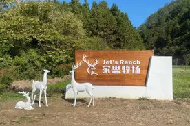 牧场也有高人气  田园牧歌的“新”探索图片